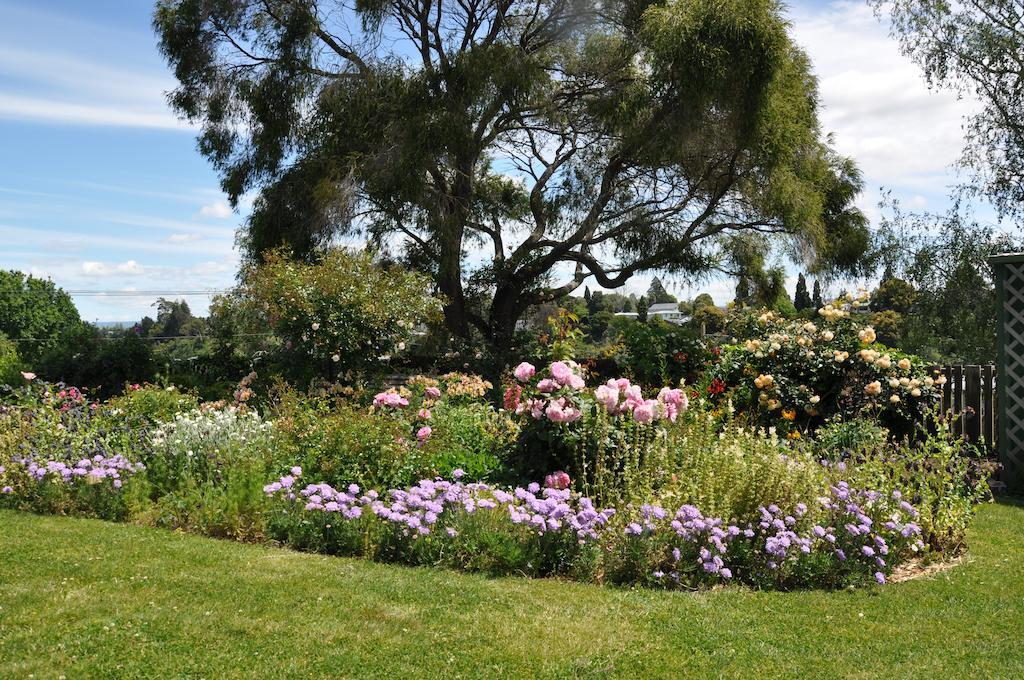 Bed and Breakfast Harbinger House Tauranga Exteriér fotografie